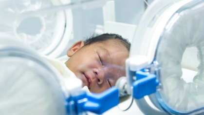 A baby sleeps in an incubator in the NICU